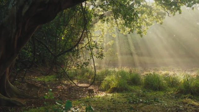 Monkey Kingdom fragmanı