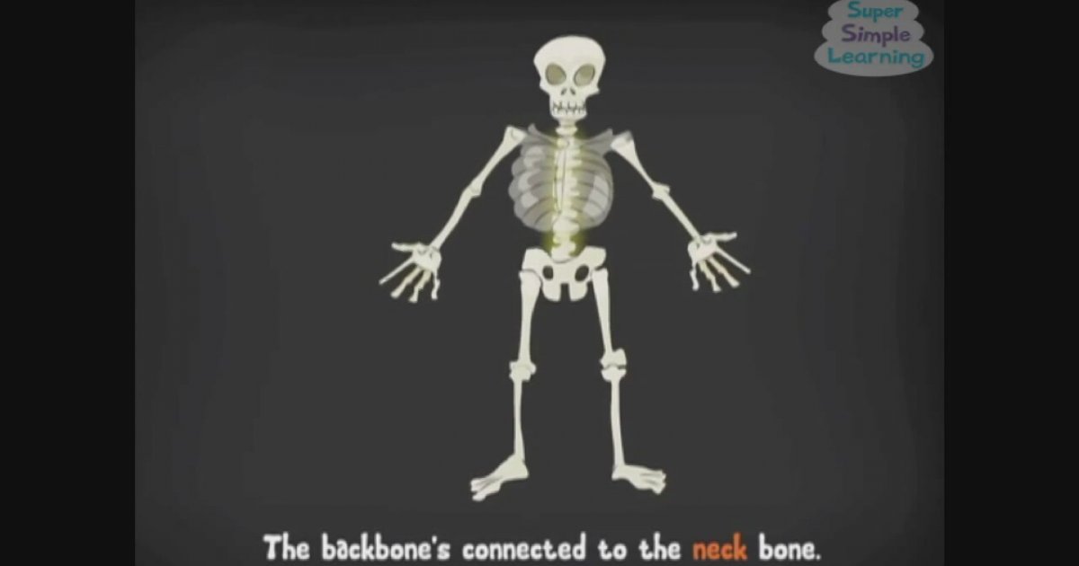 The Skeleton Dance | Super Simple Songs | İzlesene.com Video