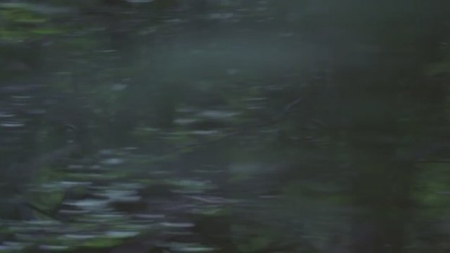 David and Goliath (2015) Fragman